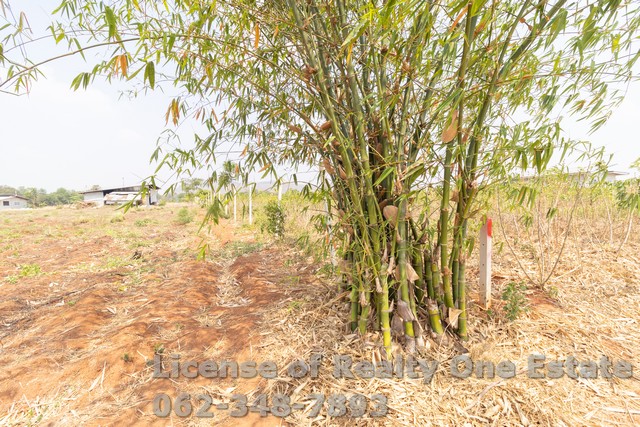 ขายที่ดิน นส.3ก. ถนนเขาผึ้ง ต.ปากช่อง อ.จอมบึง จ.ราชบุรี