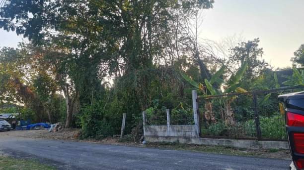 โซนฟ้าฮ่าม ขายที่ดิน 3.3 ล้าน เนื้อที่ 94 ตรว. อำเภอเมือง เหมาะสำหรับสร้างบ้าน ใกล้เมือง เดินทางสะดวกสบาย