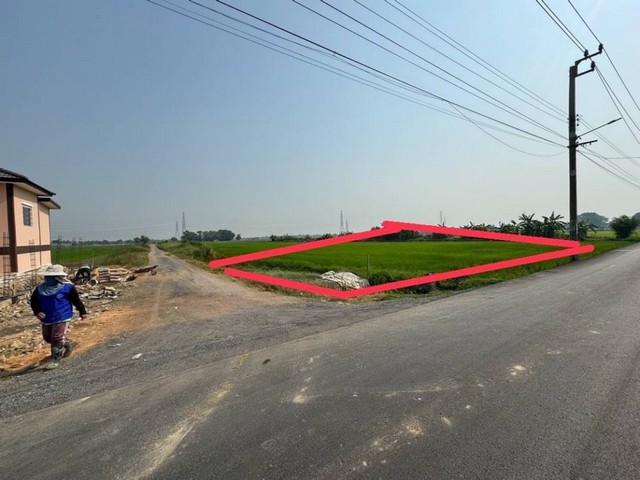 ให้เช่าที่ดิน แปลงมุม 1 ไร่ 3 งาน 82 ตรว. ริมถนนฉลองกรุง 54  ลาดกระบัง  ZY203