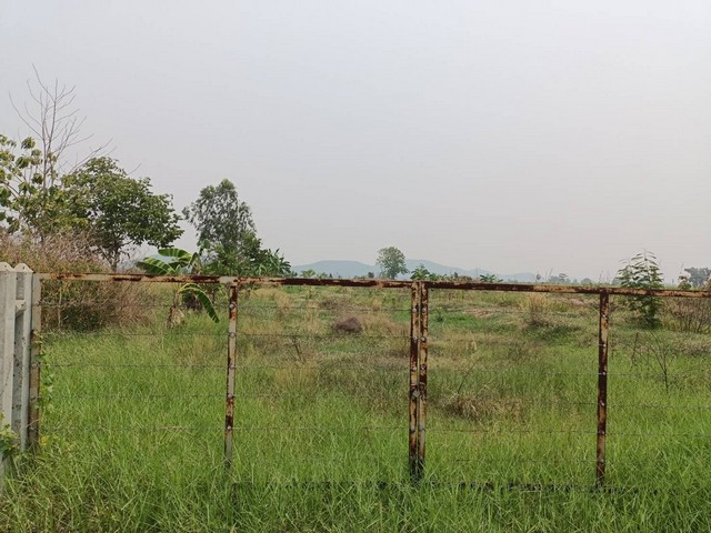 ที่ดิน 10-2-4 ไร่  ต.เมืองการุ้ง อ.บ้านไร่ จ.อุทัยธานี   ZK278