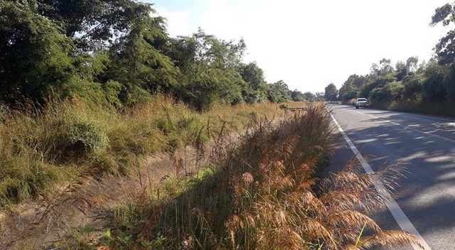 ขายที่ดิน 22-1-64ไร่ 10.1ลบ. ถนนลาดยาง น้ำไฟถึง ใกล้ถนน11 ซุปเปอร์ไฮเวย์ ชม-ลป 7 กม. ต.มะเขือแจ้ อ.เมือง ลำพูน