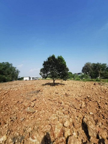 ที่ดินถมแล้ว ติดถนนคอนกรีต คลอง6 เนื้อที่ 334 ตรว. น้ำไฟครบ มีเพื่อนบ้าน