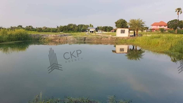 ขาย ที่ดินเปล่า ที่ดินถมแล้ว มีรั้วรอบที่ดิน ไฟฟ้า-ประปาเข้าถึงพื้นที่ น้ำไม่ท่วม อ.สามโก้ จ.อ่างทอง