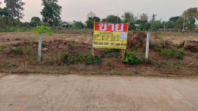 ขายที่ดินสวย 6-2-89 ไร่ ทำเลดี  ซอยแยกวัดป่าโพธิ์  ใกล้ถนนบายพาส  ถนนอุดร-โพนพิสัย จ.หนองคาย   ZP103 
