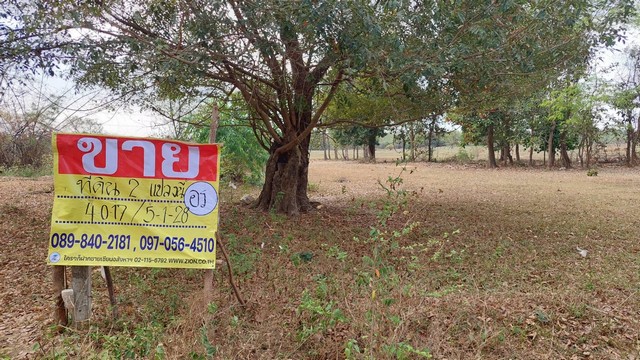 ขายที่ดิน 9-1-45 ไร่ เหมาะทำการเกษตร แยกหนองสะพัง ต.หาดคำ จ.หนองคาย   ZP104 