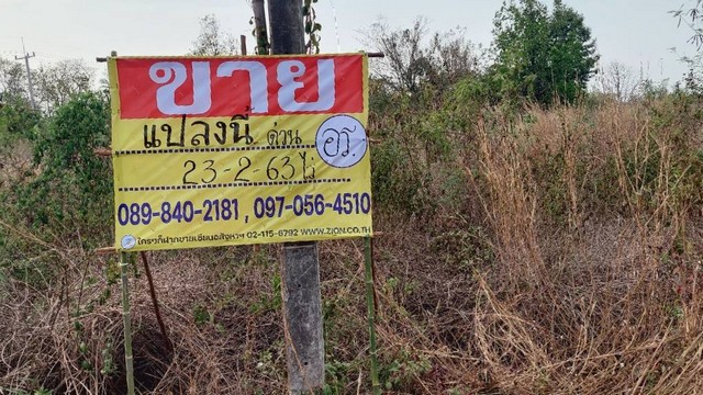 ขายที่ดินสวยติดถนนหนองคาย-ท่าบ่อ ใกล้โรงเรียนบ่อแปบ หนองหญ้าม้าวิทยา จ.หนองคาย    ZP102 