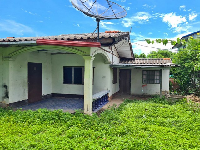 รายละเอียดเพิ่มเติม Code ID :  PAP1-0274  ราคาขาย  670,000  บาท- ขนาดพื้นที่ :  126.2 ตรว.  - พื้นที่ใช้สอย :  201.75 ตรม.  - จำนวนห้อง :   2 ห้องนอน 2 ห้องน้ำ - ที่จอดรถ :   1 คัน- บ้านหันทางทิศ : ตะวันตก พิกัดทรัพย์ :  https://maps.app.goo.gl/ZcUKtPCsW4eNfoKr9    สถานที่ใกล้เคียง- ใกล้  โรงพยาบาลมะเร็งอุดรธานี- ใกล้  โรงเรียนบ้านหนองบัวเงินหนองบัวทอง- ใกล้  สถานีรถไฟ ห้วยสามพาด- ใกล้  วัดสุวรรณประดิษฐ์สอบถามเพิ่มเติม/นัดชมโทร. 097-419-5982(พลอย