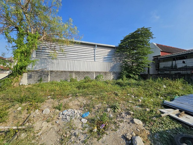 ขายที่ดิน บางนา กม5 แปลงมุม ถนนกว้างมาก 60 ตารางวา ด่วน