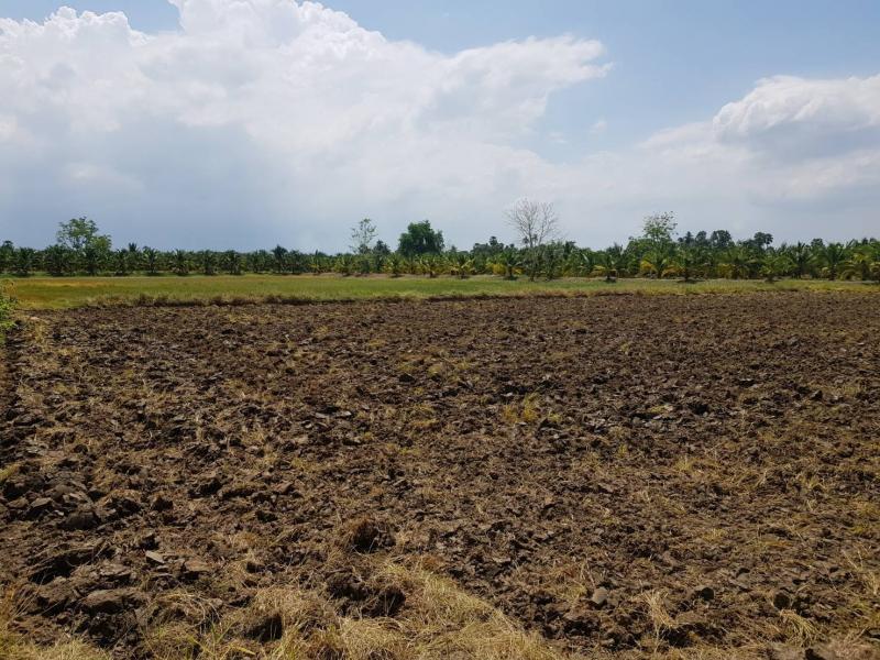 ขายที่ดินเปล่า ทำเลธรรมชาติ ตำบล คลองตาคต อำเภอ โพธาราม จังหวัด ราชบุรี (เจ้าของขายเอง)ที่ตั้ง  ต.คลองตาคต อ.โพธาราม จ.ราชบุรี 70120พิกัด https://maps.app.goo.gl/tBN5DoybmaDdSZQy7ขนาดพื้นที่  7 ไร่ 3 งาน รายละเอียด  ขายที่ดิน ทำเลธรรมชาติ ปัจจุบันเป็นที่นา ปลูกข้าว พื้นที่สวยธรรมชาติ ด้านขวาและด้านหลังเป็นสวนมะพร้าว ด้านซ้ายมีบ้านปลูกอยู่ ถนนเป็นคอนกรีตยังไม่ได้ลาดยาง บรรยากาศร่มรื่น มี