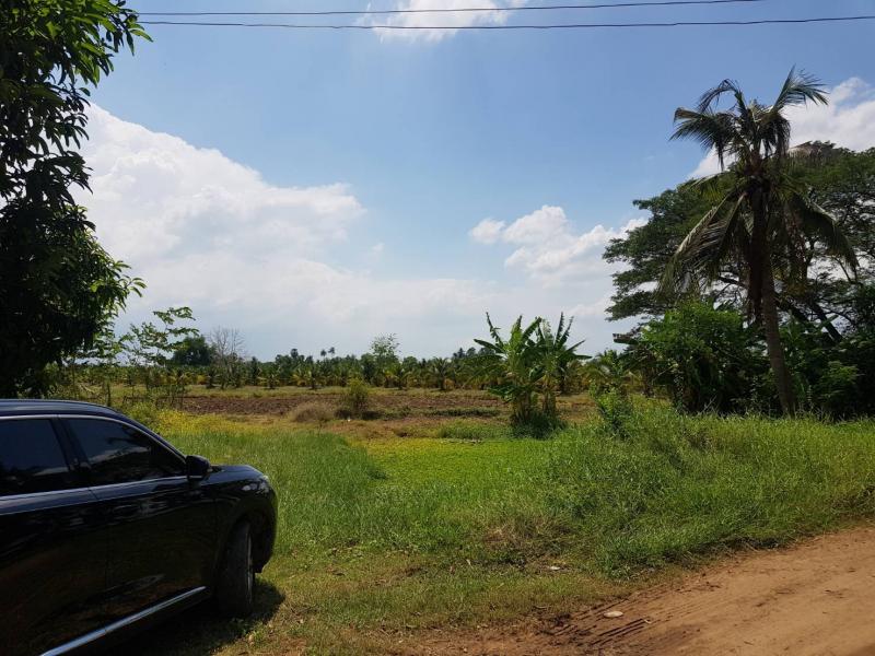 ขายที่ดินเปล่า ทำเลธรรมชาติ ตำบล คลองตาคต อำเภอ โพธาราม จังหวัด ราชบุรี (เจ้าของขายเอง)