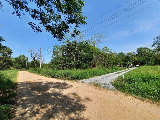 ที่ดินคลองหกใกล้ ม.ราชมงคลธัญบุรี เพียง 4.5 กม. เข้าซอยคลองหกตะวันตก 13