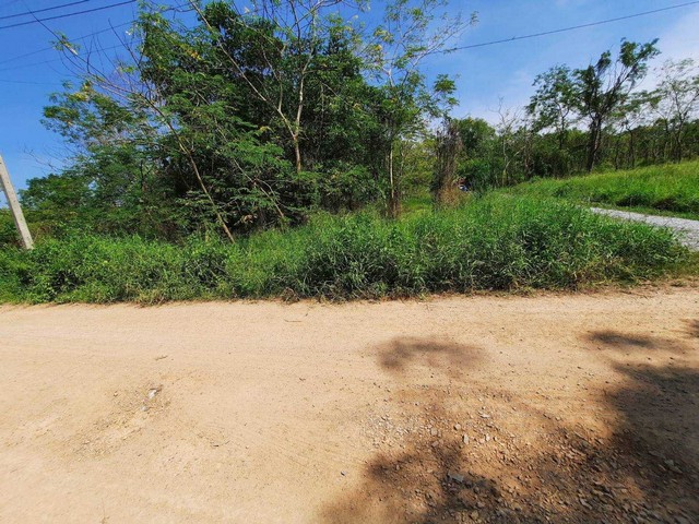 ที่ดินคลองหกใกล้ ม.ราชมงคลธัญบุรี เพียง 4.5 กม. เข้าซอยคลองหกตะวันตก 13