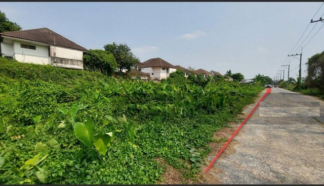 ขายที่ดินรังสิตคลองสอง ซอยรังสิต-นครนายก 61 เข้าซอยรังสิต-นครนายก 61