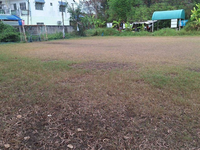 ให้เช่าทาวโฮม ซอยเฉลิมพระเกียรติ 28 หลังมุม  ย่านสวนหลวง ประเวศ บางนา กาญจนาภิเษก เฉลิมพระเกียรติ โครงการบ้านกลางเมือง สวนหลวง