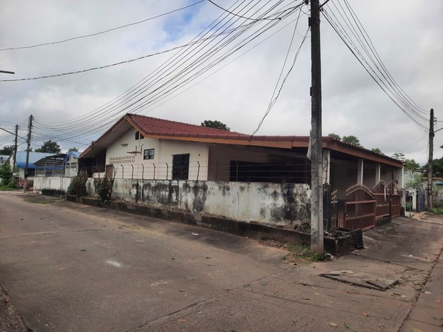 ขาย ทาวน์เฮ้าส์ 1 ชั้น ต.หนองบัว อ.เมืองอุดรธานี จ.อุดรธานี  PAP1-0394