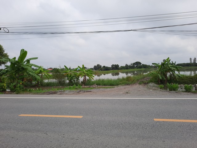 ขายที่ดินพื้นที่สีเขียว หนองจอก มี 2 แปลง 3 โฉนด ติดถนนสังฆสันติสุข กทม.