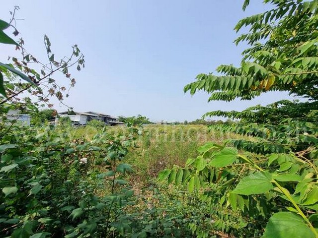 ที่ดินเปล่า 100 ตารางวา แพรกษา ซ.เทศบาลบางปู 39 เมืองสมุทรปราการ