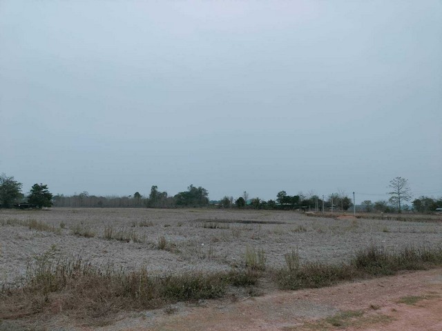 ขายที่ดินเปล่า ที่นา ทำเลดี เนื้อที่ 5-3-31 ไร่  อยู่ใกล้กับหมู่บ้านฝายแก  ต.ถืมตอง อ.เมือง จ.น่าน  ZN597