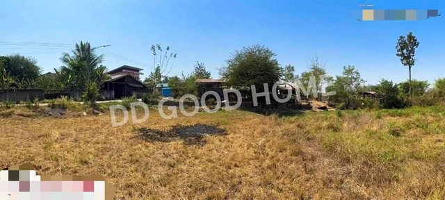 ขายที่ดิน อำเภอบุณฑริก จังหวัดอุบลราชธานี ขนาด 2 ไร่ 2 งาน 68 ตารางวา