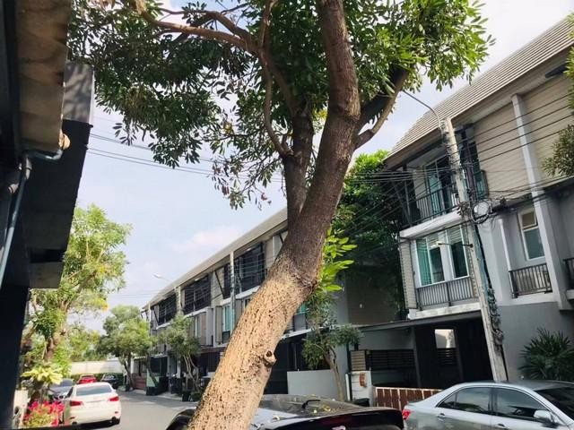  ให้เช่า ทาวน์โฮม 3ชั้น หมู่บ้าน อารียาเดลี่ ลาดปลาเค้า ลาดพร้าว รหัส R3066ราคาเช่า  25,000 ( มัดจำ 2 ล่วงหน้า 1 เดือน ) รวมส่วนกลางสนใจติดต่อ คุณเอมมี่   โทร 061-895-9195  Line Add Friend  : https://line.me/ti/p/gAB4zRsgkGรหัสประกาศ R3066ทาวน์โฮม 3ชั้น หมู่บ้าน อารียาเดลี่ ลาดปลาเค้า ลาดพร้าวพื้นที่ใช้สอย 160 ตารางเมตรหน้ากว้าง 5 เมตร3 ห้องนอน4 ห้องน้ำ2 ที่จอดรถ ( ในบ้าน 1 คัน หน้าบ้าน 1 คัน )ยินดีรับสัตว์เลี้ยงอนุญาตให้จดท