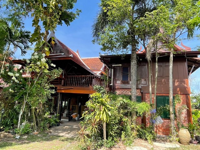 #HR061 For Rent : Naiyang, 2-story Thai house, 2 Bedrooms 2 Bathrooms  2-story Thai house- 2 Bedrooms 2 Bathrooms- 1 hall and kitchen- Decorated with furniture Nearly place- Nai Yang beach 500 meters - supermarket 50 meters - Phuket Airport 2 kilometers - Sirinath National Park 1.5 kilometers - Electric / water government bill Rent 40,000 bath per month Contract 1 year or up to 1 years----------------------#HR061 สำหรับเช่า : บ้านเดี่ยว 2 ชั้น ทำเลในยาง 2 ห้องนอน 2 ห้องนํ้าบ้านเรือนไทย 2 ชั้น - 2 ห้องนอน 2 ห้องน้ำ - 1 ห้องโถงและห้องครัว  - ตกแต่งพร้อมเฟอร์นิเจอร์  สถานที่ใกล้เคียง- ห่างหาดในยาง: 500 เมตร - ใกล้สนามบินภูเก็ต: 2 กิโล ราคาเ
