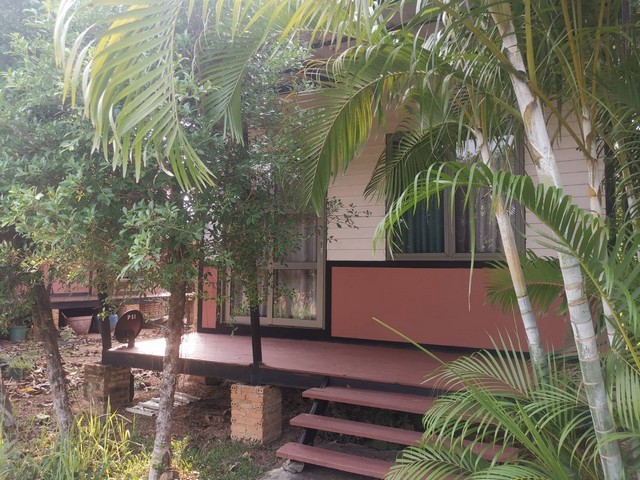 ขายที่พักรีสอร์ทส่วนตัว อ.พาน จ.เชียงราย จำนวน 3 ไร่เศษ ไม่เคยเปิดให้เช่าพร้อมที่ดินโฉนดครุฑแดง