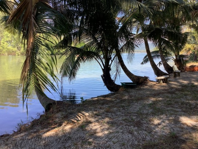 DSL-056   โรงแรม รีสอร์ต บ้านไม้รูด จ.ตราด พท. 1153 ตรว. 17 Bedroom 17 BR 32000000 BAHT บรรยากาศส่วนตัว