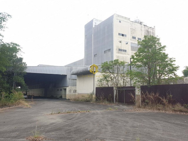 ขายด่วนโรงงานต่ำกว่าราคาประเมิน เนื้อที่ 98-1-90 ไร่  มีรง.4 จ.ระยองรหัสทรัพย์ : FS042(กรุณาใช้รหัสนี้ในการสอบถาม FS042)พื้นที่ใช้สอย 39,800 ตรม.มีออฟฟิศชั้นเดียวมีใบรง.4 ประเภท 44 ผลิตเส้นใยโพลีเอสเตอร์ผังเมืองสีเหลืองอ่อนรถสิบล้อ รถเทรลเลอร์เข้าออกได้สะดวกมากพื้นรับน้ำหนักได้ 20 ตัน (ตอกเสาเข็มอย่างดี พื้นเทหนา)ระบบต่างๆ ใน โรงงานครบ ท่อก๊าซ สถานีไฟฟ้าแรงสูง 115 KVมีน้ำประป