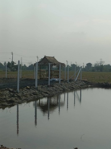 ขายที่ดิน แบ่งขาย เนื้อที่ 100-200 ตารางวา หนองจอก กรุงเทพ