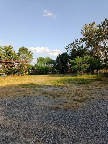 ขายที่ดินย่านแหลมฉบังซอยวัดหนองมะนาว ใกล้หมู่บ้านพาโนเซนและใกล้หมู่บ้านมณีรินทร์ซอยวัดทุ่งกราด ที่ดินแหลม​ฉบัง