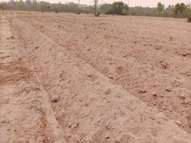 ด่วนโฉนดครุฑแดง อำเภอป่าซาง จังหวัดลำพูน ใกล้ 4 เลนท์