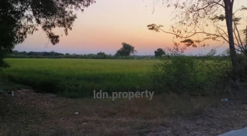 ขายที่ดิน 10-2-54 ไร่ ห่างถนน (ทล.347 เพียง 2 กม.) ติดถนนคลองชล บรรยากาศดี ทุ่งนา บางไทร จ.อยุธยา