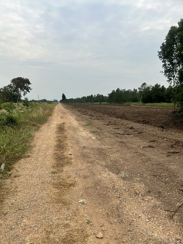 ที่ดินคลอง9 หนองเสือ แปลงระพีพัฒน์ 2 ไร่ 2.4ล้าน ผ่อนได้ 2 ปี ไม่มีดอกเบี้ย จ่ายงวดแรกเข้ามาทำกินได้เลย