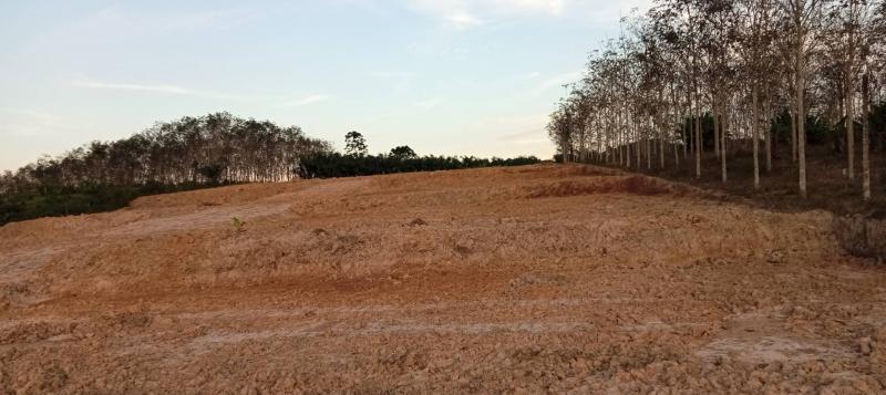 ขายด่วนที่ดินเปล่า 6 ไร่ ถมแล้ว วิวสวย ทำเลดี อ.ทุ่งใหญ่ จ. นครศรีธรรมราชที่ตั้ง : สระนางมโนราห์ ต.ปริก อ.ทุ่งใหญ่ จ.นครศรีธรรมราช 80240พิกัด : https://maps.app.goo.gl/CVCgwWLQVWSX65z16ขนาดพื้นที่ : 6 ไร่รายละเอียดด่วนขายที่ดิน 6ไร่ ที่ดินเนินเขา วิวสวย ทำเลดี น้ำไม่ท่วม เดินทางสะดวก มีความปลอดภัย ในพื้นที่อยู่ใกล้เเหล่งชุมชน ร้านค้า สถานที่ราชการ ที่ดินเหมาะสร้างบ้านจัดสรร ค่าเฟ่ หรือ รีสอ