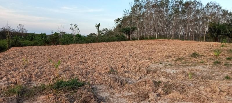 ขายด่วนที่ดินเปล่า 6 ไร่ ถมแล้ว วิวสวย ทำเลดี อ.ทุ่งใหญ่ จ. นครศรีธรรมราช