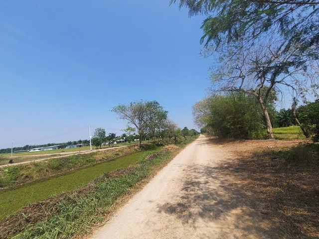 ขายที่ดินคลอง9 ติดคลองส่งน้ำ (คลองแอล) ต.บึงบอน อ.หนองเสือ จ.ปทุมธานี