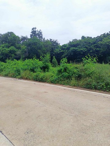 ที่ดินเพื่อการลงทุน ทำเลทอง ที่ดินคลอง2 คลองหลวง จ.ปทุมธานี ติดถนน 2 ด้าน ไร่ละ3ล้าน