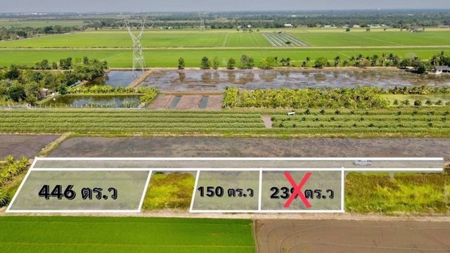 คลอง 8 บึงบอน26 หนองเสือ ทำเลดี แบ่งขาย ซื้อไว้ไม่ผิดหวัง