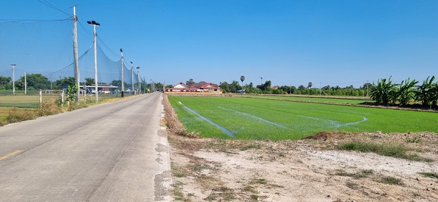 ที่ดินทำเลทอง คลองห้า คลองหลวง ใกล้สนามฟุตบอลอารีน่าคลองห้า 1ไร่ ติดถนนคอนกรีต ราคาพิเศษ