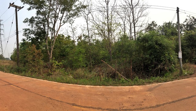 ขาย ที่ดิน ต.หนองญาติ อ.เมืองนครพนม จ.นครพนม  PAP7-0573