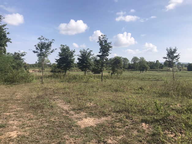 ขายที่ดิน ติดถนนมิตรภาพ อำเภอเขาสวนกวาง จังหวัดขอนแก่น (เจ้าของขายเอง)