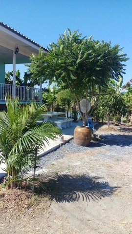 ขายด่วน บ้านพร้อมที่ดิน  ตำบลหัวหวาย อำเภอตาคลี  จังหวัดนครสวรรค์