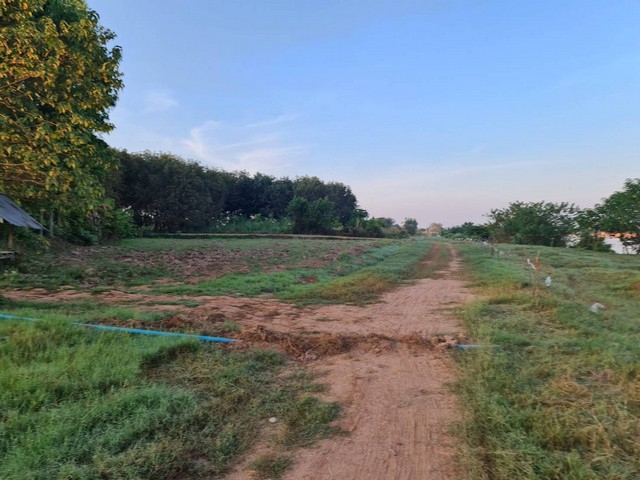 ร่ำรวยมั่งดีเลือกหาซื้อทรัพย์ดีที่ทีมงานขอเสนอ  ขายที่ติดน้ำโขง ต.กุดบง อ.โพนพิสัย จ.หนองคาย หน้าติดถนนโยธาธิการ  หลังติดแม่น้ำโขง ไร่ละ 2ล้านบาท โทร 096-882-1857