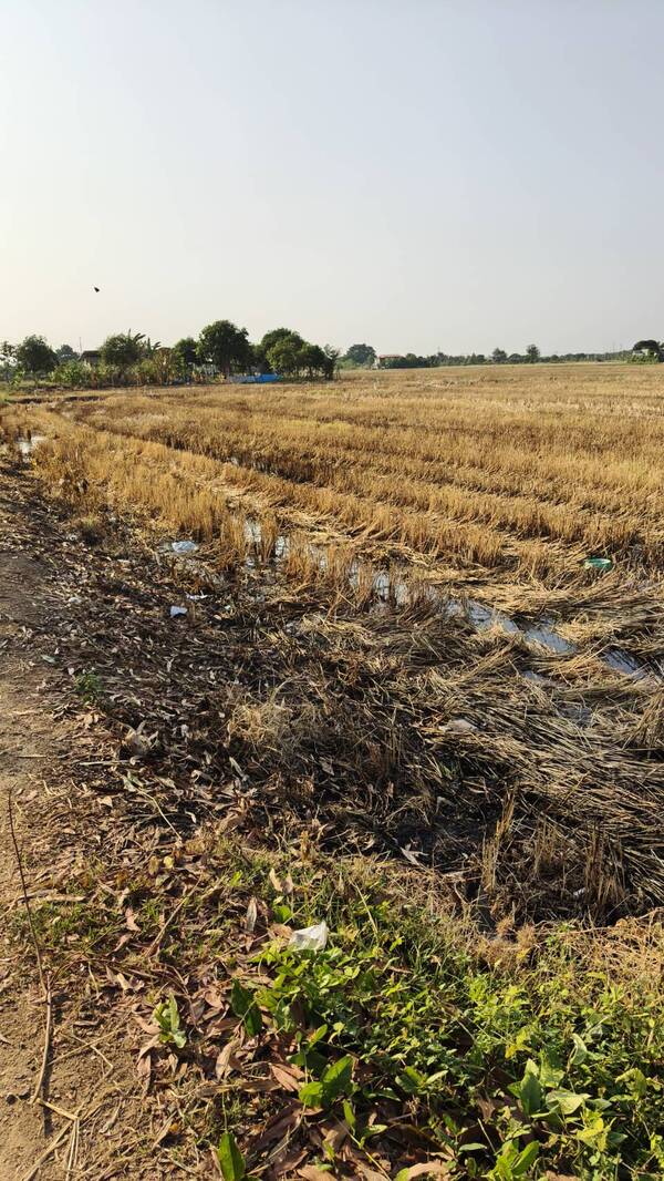 ที่ดินเปล่า เหมาะสำหรับทำเป็นโรงงาน หรือ โกดัง ลาดหลุมแก้ว จ.ปทุมธานี