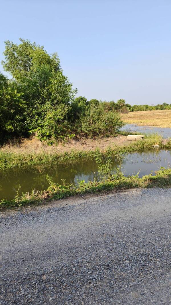 ที่ดินเปล่าถมแล้ว ที่อยู่หัวมุมด้านหน้า ถมแล้ว สวยมากๆ ลาดหลุมแก้ว จ.ปทุมธานี