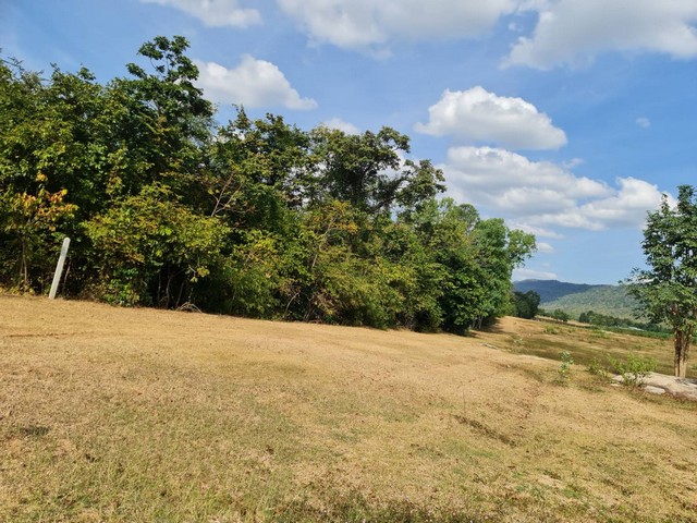 ร่ำรวยมั่งดีเลือกหาซื้อทรัพย์ดีที่ทีมงานขอเสนอ  ขาย ติดเทือกเขายาวเรียงแนว ดินดีสมบูรณ์ทรัพย์ในดิน  ตำบลนาจาน อำเภอสีชมพู ฟ้าใสอากาศดีขอนแก่น 