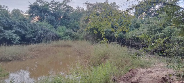 ร่ำรวยมั่งดีเลือกหาซื้อทรัพย์ดีที่ทีมงานขอเสนอ ขาย ที่สวยติดทางหลวง1107 เมืองบ้านตาก จ.ตาก คมนาคมสะดวกมาก 36 ไร่เศษ อ.บ้านตาก  จ.ตาก  ติด ทล.1107 โทร 0968821857