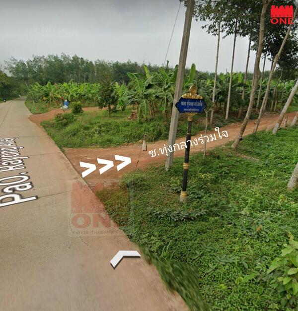 ขายที่ดินพร้อมสวนยาง ทำเลดีใกล้เมือง ต.บ้านนา อ.แกลง จ.ระยอง