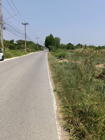 ขายที่ดินติดถนนลาดยาง  อำเภอปราณบุรี จังหวัดประจวบคีรีขันธ์ จำนวน 10 ไร่