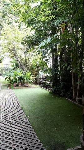 ให้เช่าบ้านเดี่ยว 3 ชั้น 63 ตรว 3 ห้องนอน ลาซาล 71 บางนาตราด 40 ใกล้ BTS ศรีลาซาล โรงเรียนบางกอกพัฒนา บรรยากาศร่มรื่น เฟอร์พร้อมอยู่